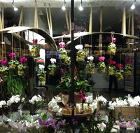 Rosita Floral Service - Internet Find