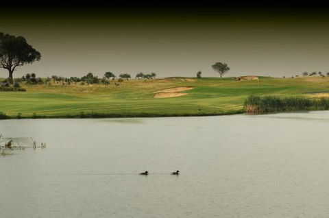 Longyard Golf - Internet Find 1
