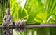 Herbal Healing–Colleen Bates - thumb 1