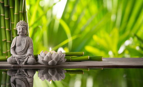 Herbal Healing–Colleen Bates - Internet Find 1