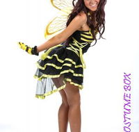 Becs Costume Box - Internet Find