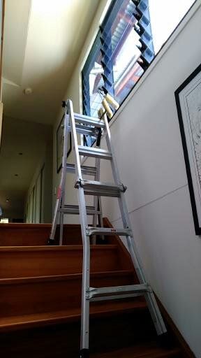 Squeaky Window Cleaning - Internet Find 2