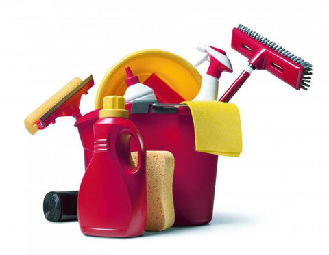 Riverside Cleaning–Freda Fisk - Internet Find 1