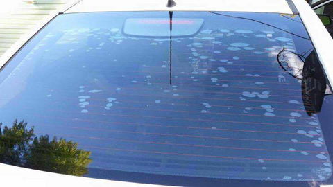 Staunch Window Tinting - Internet Find 0