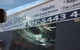 Sunshine Coast Windscreens - thumb 0