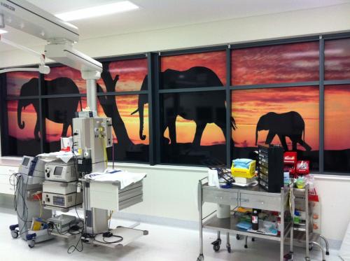 Window Tinting Garbutt QLD Internet Find