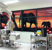 Extreme Glass Tinting Townsville - Internet Find