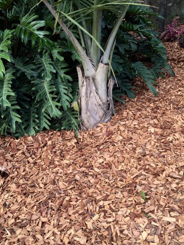 Gympie Landscape Supplies & Earthworks - Internet Find 1