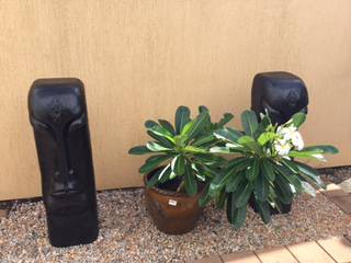 Calligan’s Nursery & Garden Centre - Internet Find 2