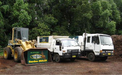 Teven Valley Tea Tree Mulch - Internet Find 0