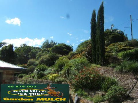Teven Valley Tea Tree Mulch - Internet Find 1