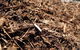 Earthborn Australia - thumb 1