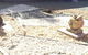 The Rock Landscape & Garden Supplies - thumb 2