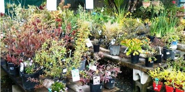 Sand Soil Gravel Supplies Murwillumbah NSW Internet Find