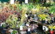 Murwillumbah Landscape Supplies - thumb 0