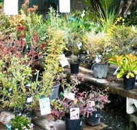 Murwillumbah Landscape Supplies - Internet Find