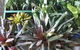 Murwillumbah Landscape Supplies - thumb 1