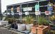 Murwillumbah Landscape Supplies - thumb 3