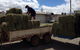 Proserpine Rural - thumb 0