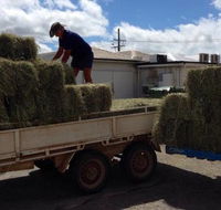 Proserpine Rural - Internet Find