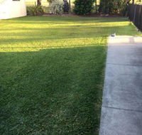 Hillside Turf - Internet Find
