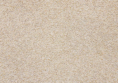 Corporate Design Floors Darwin - Internet Find 0