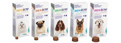 Burnett Mobile Vet - Internet Find 3