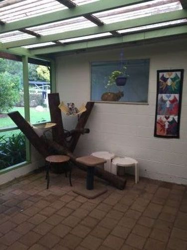 Kate’s Cat Motel - Internet Find 2