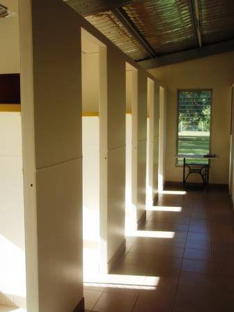 Whiskers On Braford Cattery - Internet Find 1