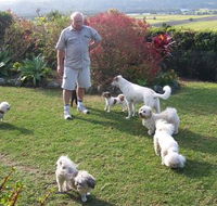 Valley View Pet Resort - Internet Find