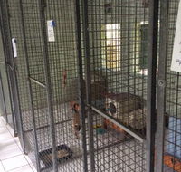 Gympie Cooloola Pet Resort - Internet Find