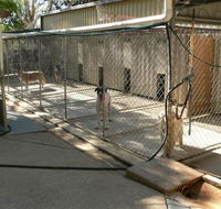 Eumundi Pet Resort - Internet Find