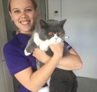 The Getaway Cattery - Internet Find