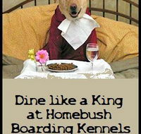 Homebush Boarding Kennels  Cattery - Internet Find