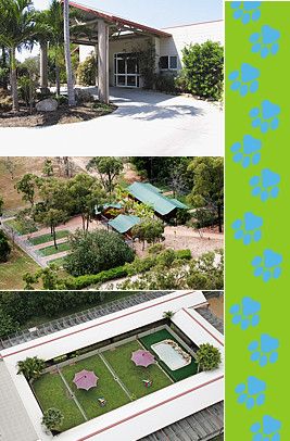 Cat Boarding Catteries Yabulu QLD Internet Find