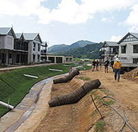 Tropical Lawns Pty Ltd - Internet Find