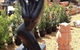 Riverview Garden & Landscape Supplies - thumb 0