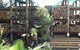 Riverview Garden & Landscape Supplies - thumb 2