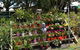 Riverview Garden & Landscape Supplies - thumb 3