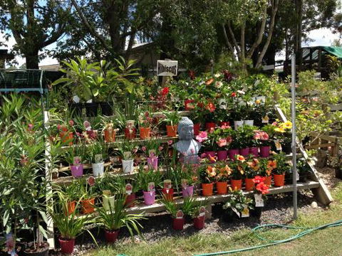 Riverview Garden & Landscape Supplies - Internet Find 3