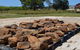 Wards Landscape Supplies - thumb 3