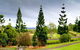 Tweed Valley Cemetery–Crematorium, Chapel & Memorial Gardens - thumb 1