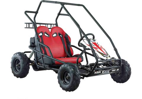 Steve’s Mowers & Outdoor Power Equipment - Internet Find 16