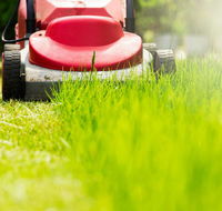 Professional Small Engines - Internet Find