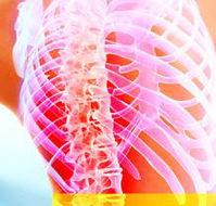 Beachside Chiropractic - Internet Find