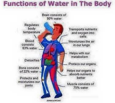 Core Concepts Chiropractic - Internet Find 1