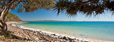Noosa Chiropractic - Internet Find 3
