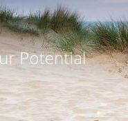 Coast Chiropractic Kawana - Internet Find