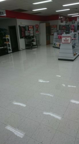 Dynamic Floor Care & Surface Protection - Internet Find 4