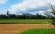 Rowes Bay Golf Shop - thumb 4